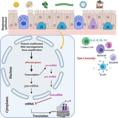 Do Current Asthma-Preventive Measures Appropriately Face the World Health Organization's Concerns: A Study Presentation of a New Clinical, Prospective, Multicentric Pediatric Asthma Exacerbation Cohort in Germany